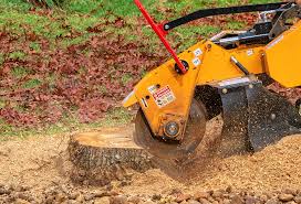 Best Hazardous Tree Removal  in Costa Mesa, CA